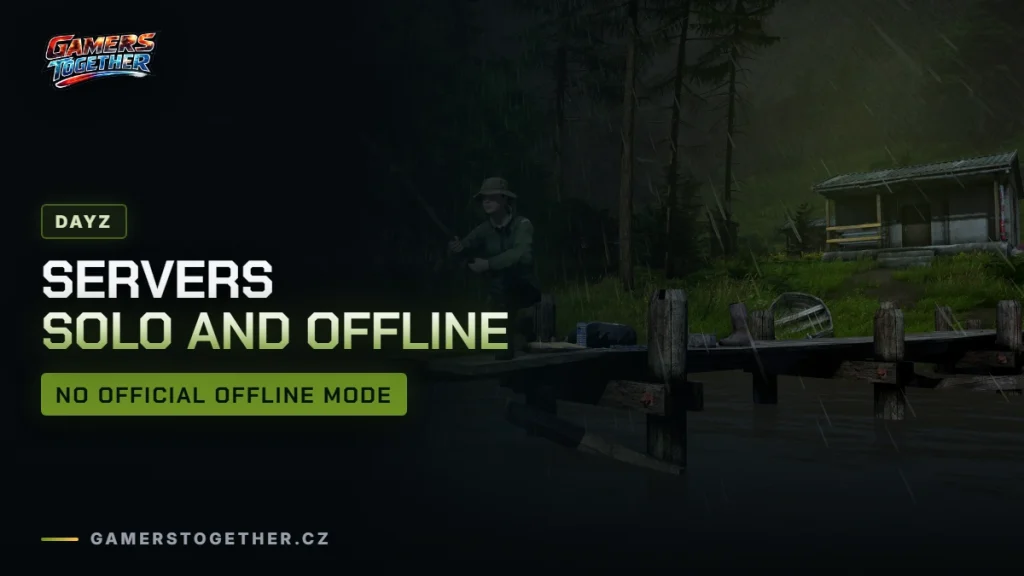 DayZ servers: official vs community, solo and offline