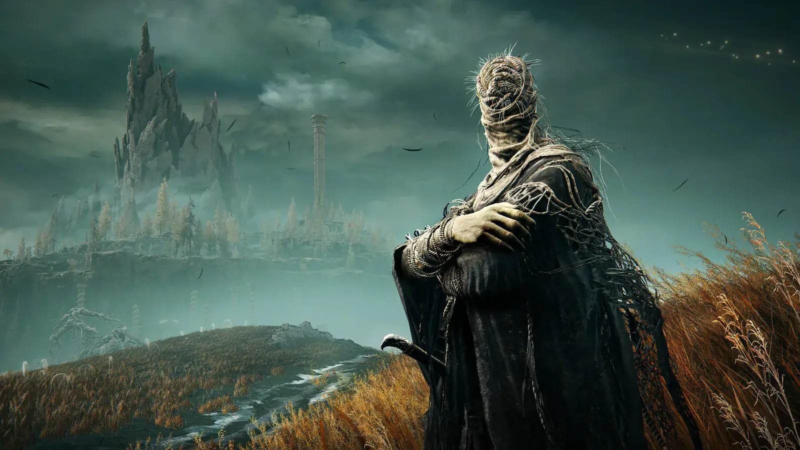 Postava v plášti stojí na kopci nad Realm of Shadow, v dálce hrad