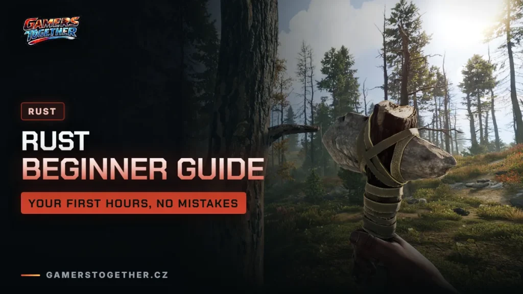 Rust beginner’s guide: your first hours and what not to do