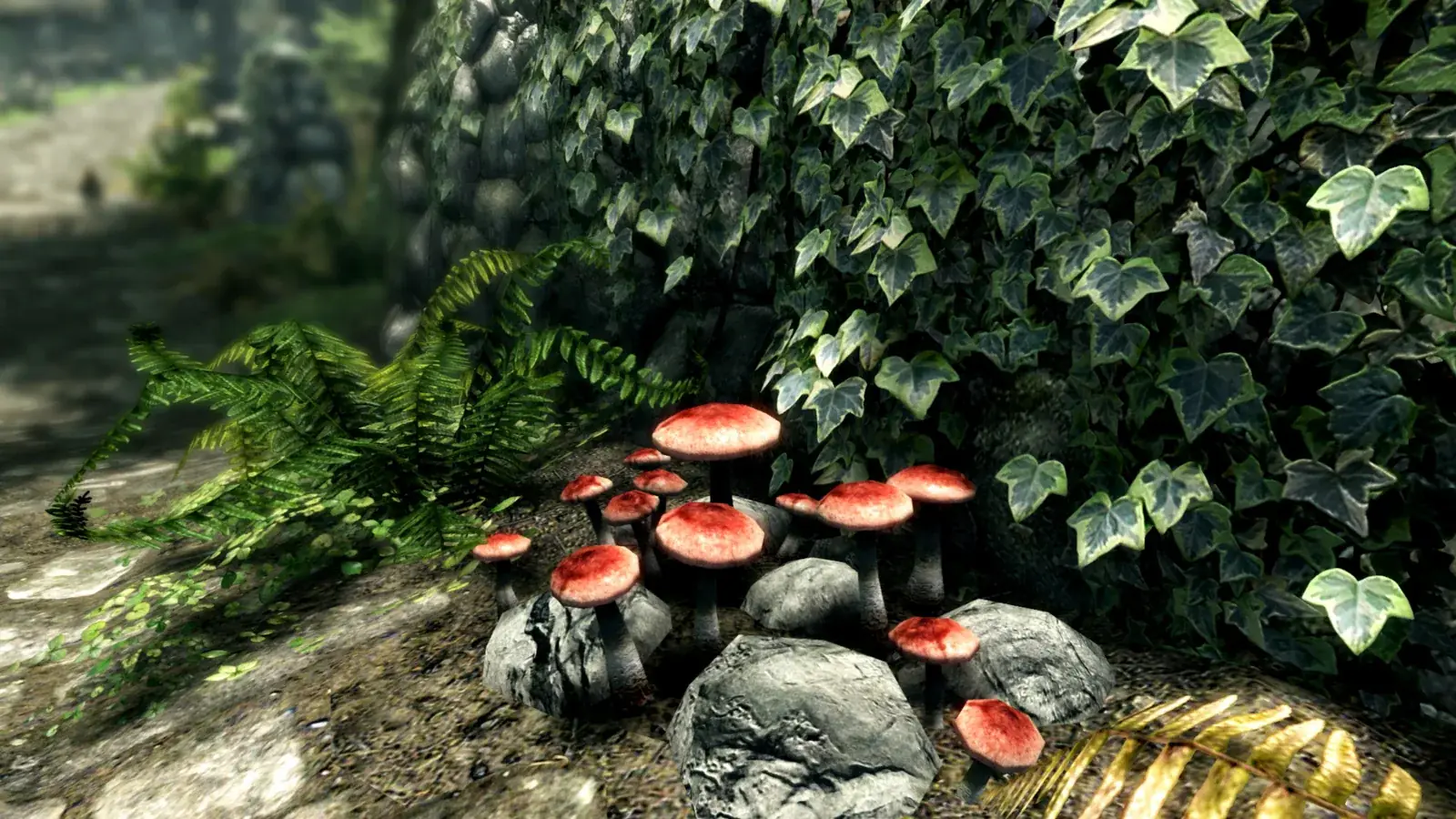 Detail břečťanu, kapradí a muchomůrek na kamenech ve Skyrim Special Edition